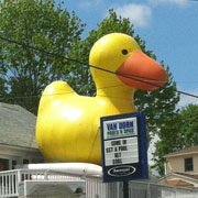 inflatable pool duck